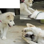 <b>아악</b>~ my eyes~
