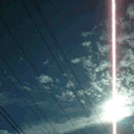 봄바람 살랑살랑...