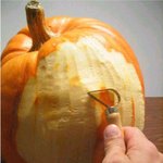 <b>호박</b>의 대변신