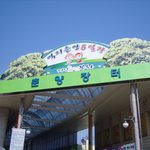 <b>억지</b> 춘양 5일장