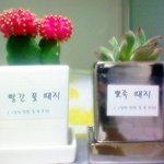 요샌 계속해서 <b>지각</b>을.. ㅜ_ ㅜ