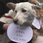 개고기 합법화 논란.. 전 찬성입니다.