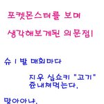 포켓몬스터에대한 <b>의문점</b>