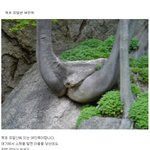 <b>목포</b>유달산여인목