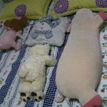 아부지의 "<b>일렬</b>종대"~^0^(사진 유!)