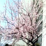 <b>집앞</b>엔..