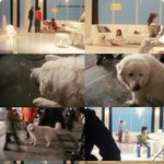 광고찍은 상근이