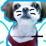 [질문]박하사탕중독 개<b>뽀삐</b>+_+