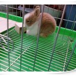 울 토야를 소개합니당~^ ^