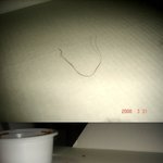 치킨을 시켜먹었는데 민망한 털이 나왔어요 사진有