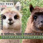나의 친척관계 ㅋ