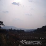 농부로 산다는 것 #9