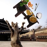 너무 화가나서 <b>밥상</b>을 엎어버렸습니다
