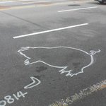 돼지 교통<b>사고</b> <b>현장</b>