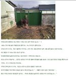 <b>타조</b>분양합니다 ㅋ