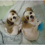 어쩜 항상 이렇게 같은 <b>포즈</b>일까요~