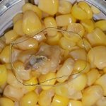 롯데마트 자체브랜드에서 이<b>물질</b> 발견 분석 결과가 나와야 조치??...