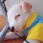 귀여운 여친 사귀고 싶어염~