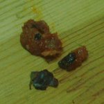 고추<b>참치</b>에서나온..뭘까요