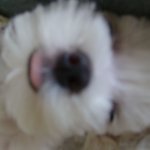 ㅋㅋ<b>토토</b>  제2탄 ㅋㅋㅋ