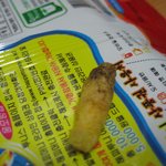 [사진有]투니스, <b>해피</b>머니만 주면 끝인가?