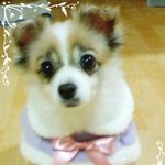 13살이에요!!