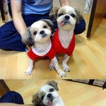 교복 커플로 맞춰 입었어요~