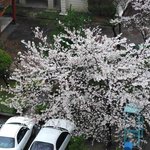사진<b>찍기</b> 놀이..ㅋ