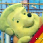 우리<b>피그</b>렛이 ㅠㅠ 푸우너 맞니