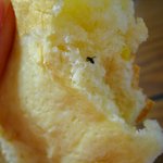 브랜드 빵집에서 날파리가 나왔는데요(사진有)