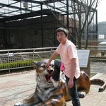 호랑이랑 싸운다는 <b>약속</b>지켰음!!!