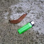 괴물달팽이<b>라오</b>