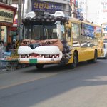 <b>사자</b>자동차