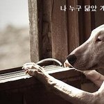 엇<b>그제</b>...