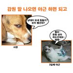 <b>글쎄</b>~저보다 어린 회사 부장한테 따귀를 맞았어요