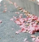 왜 그런거 있잔<b>아요</b>