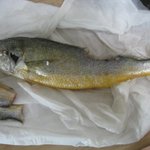 고잔이마트-눈가리고<b>아웅</b>