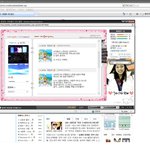 김연아 <b>홈피</b>의 악플러