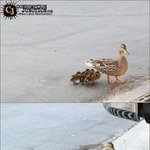 1명의 <b>생존자</b>.