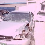 부모님가슴에 못밖을뻔했어요,,,