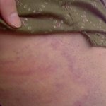 와 학교무서워서 다니겠습니까???