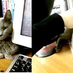 우리니베예요~~