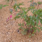 웃음으로 가득 채워진 한 주 되세요.