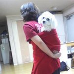 남자는 <b>집</b>에서 놀고 여자는 <b>밖</b>에서 돈을 벌어옵니다.