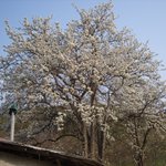 농부로 산다는 것 #13