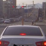 썬<b>루프</b>의 용도는 ㅋㅋ