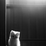 가슴속에 <b>돌덩이</b> 하나..