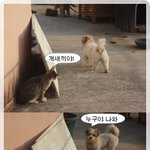 웃길때까지 <b>올림</b>..(5번째)