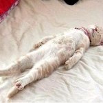 <b>악마</b>의 시간이 다가온다 ㄷㄷㄷㄷㄷ