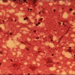 꼭 봐주세요! 여러분, 가족들, 친구들을 위해서 입니다.